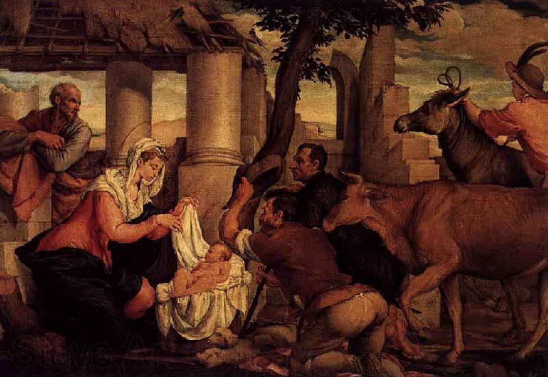 Jacopo Bassano The Adoration of the Shepherds France oil painting art